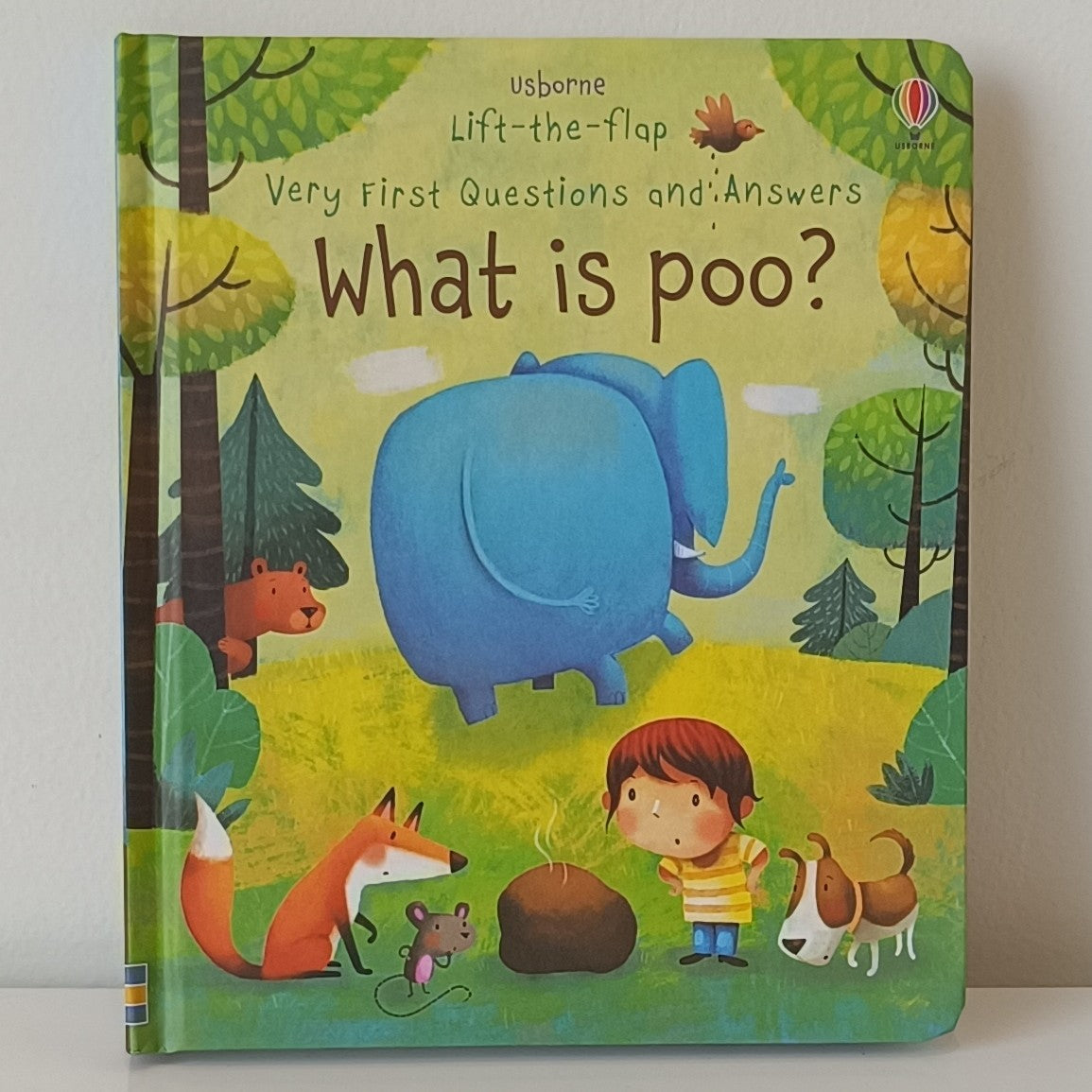 Usborne Lift-The-Flap What Is Poo