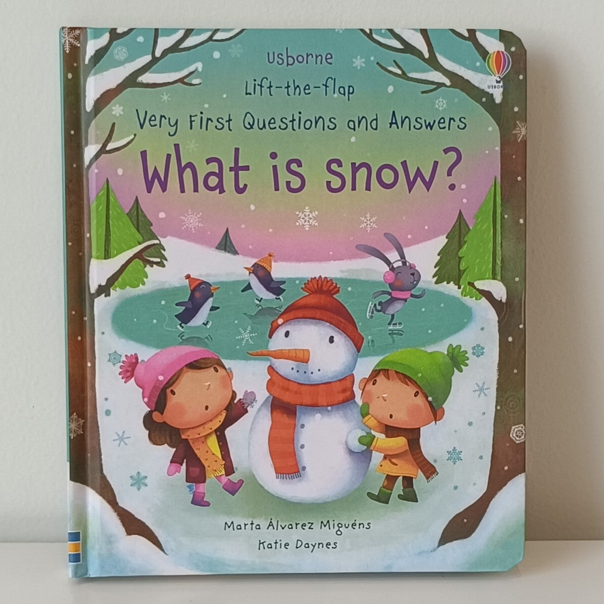 Usborne Lift-The-Flap What Is Snow