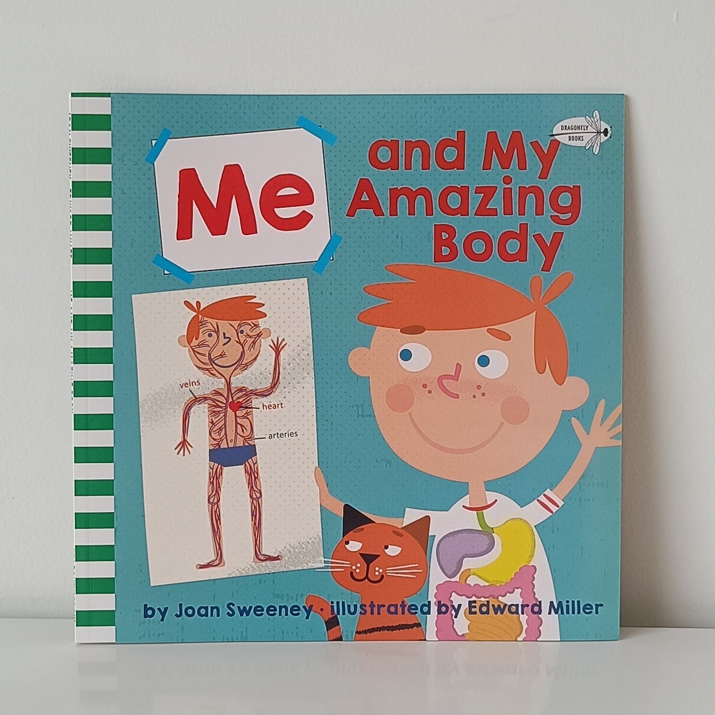 Alex Willmore Me Counting Time 6 Books