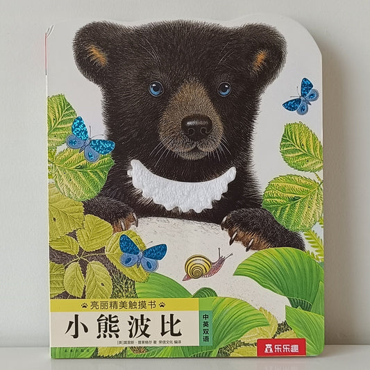 Bobby The Bear Touch Book CV