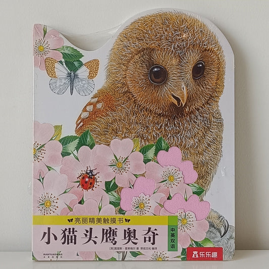 Little Owl Ochi Touch Book CV