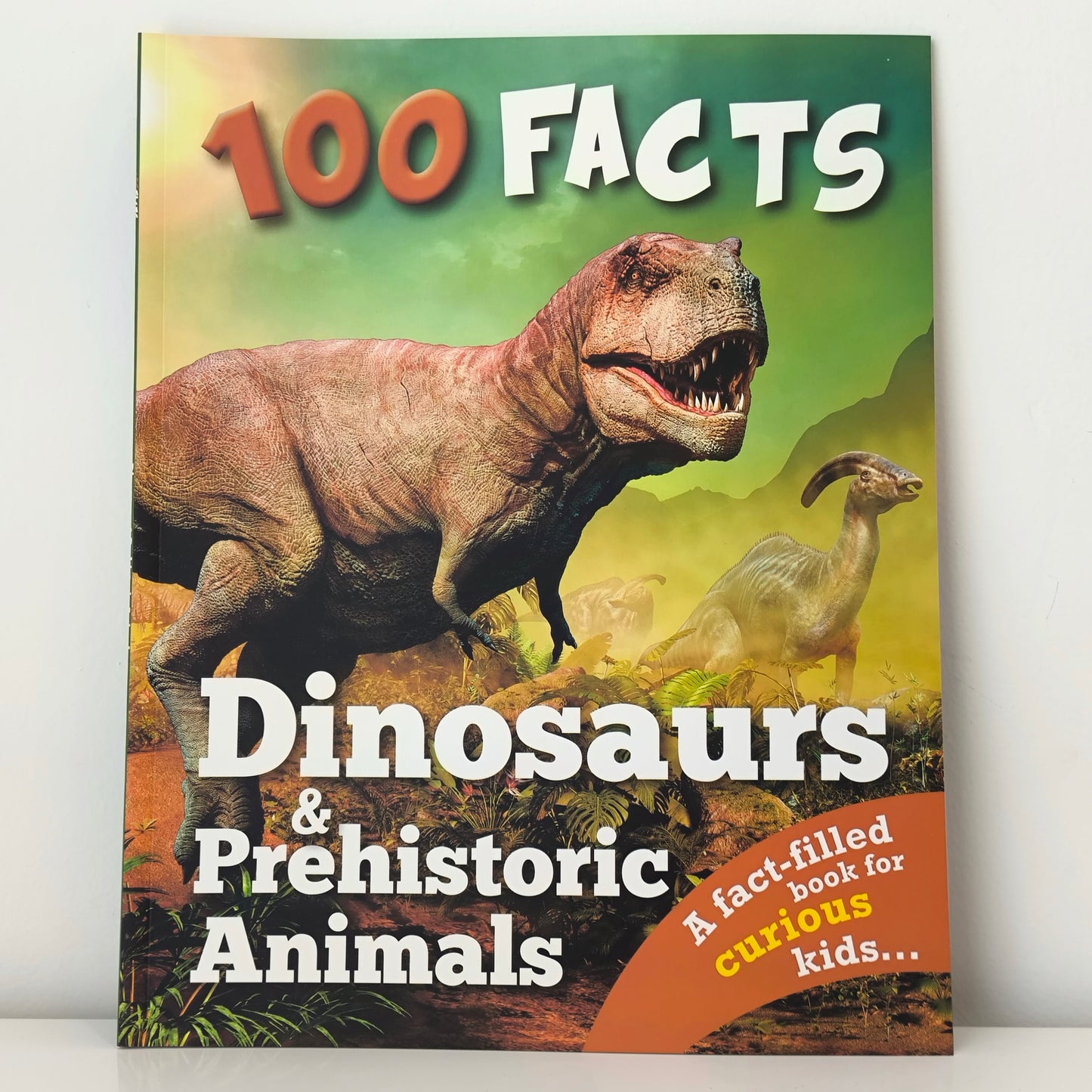 100 Facts Wonders Of The World 10 Books