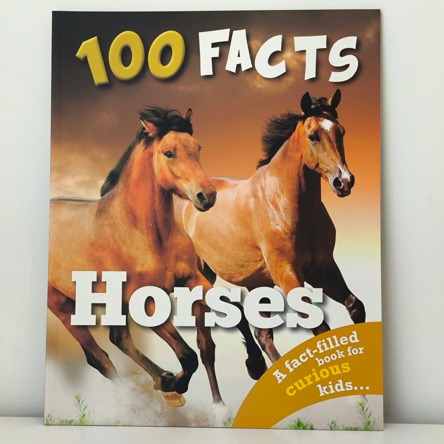 100 Facts Wonders Of The World 10 Books