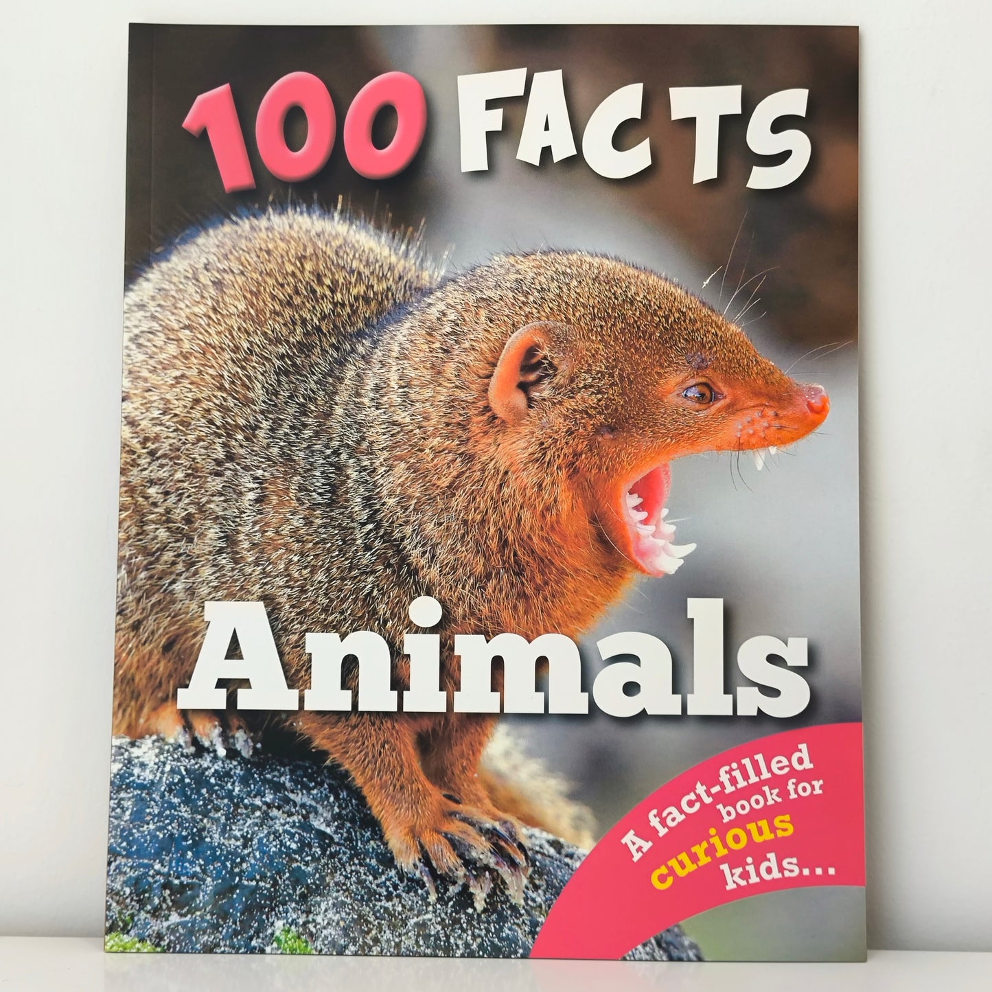 100 Facts Wonders Of The World 10 Books