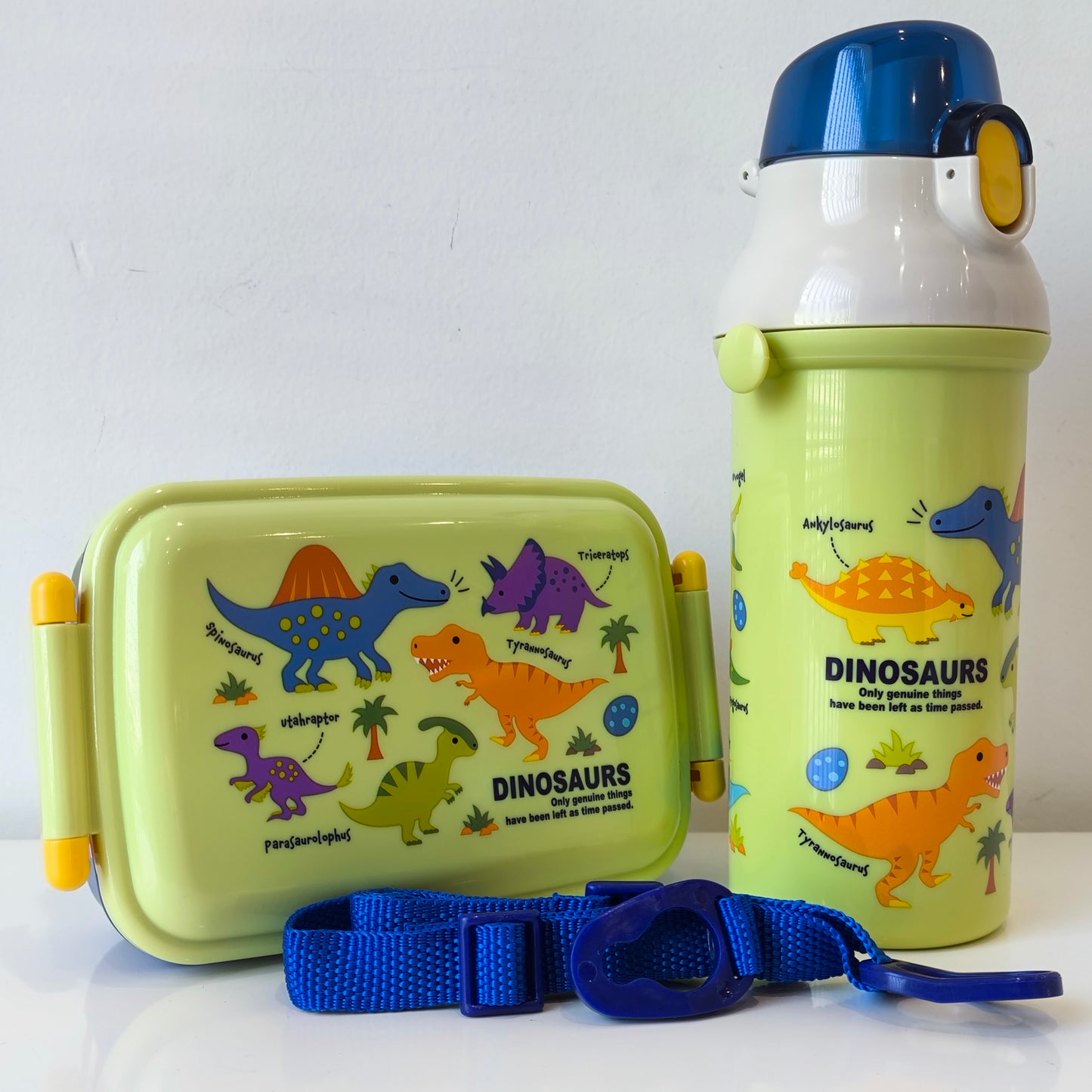 Skater Lunch Box With Partition 450ml