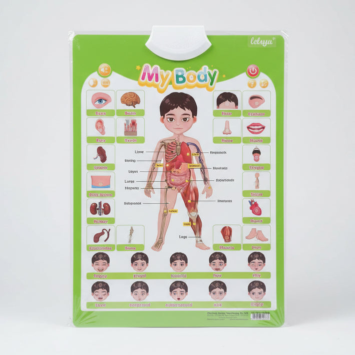 Leleyu Electronic Interactive Learning Wall Poster LWG009 My Body 3Yrs+