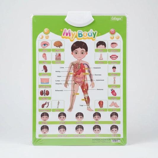 Leleyu Electronic Interactive Learning Wall Poster LWG009 My Body 3Yrs+