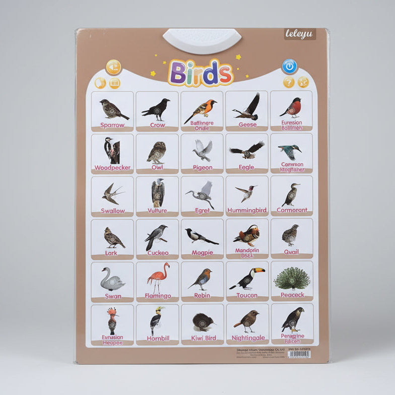 Leleyu Electronic Interactive Learning Wall Poster LWG013 Birds 3Yrs+
