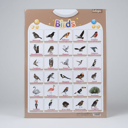 Leleyu Electronic Interactive Learning Wall Poster LWG013 Birds 3Yrs+