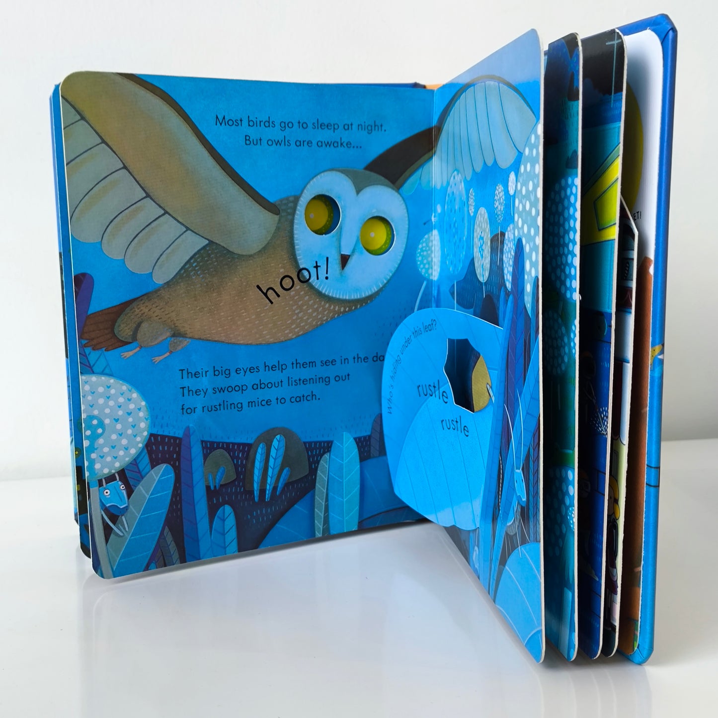 Usborne Peep Inside Night Time