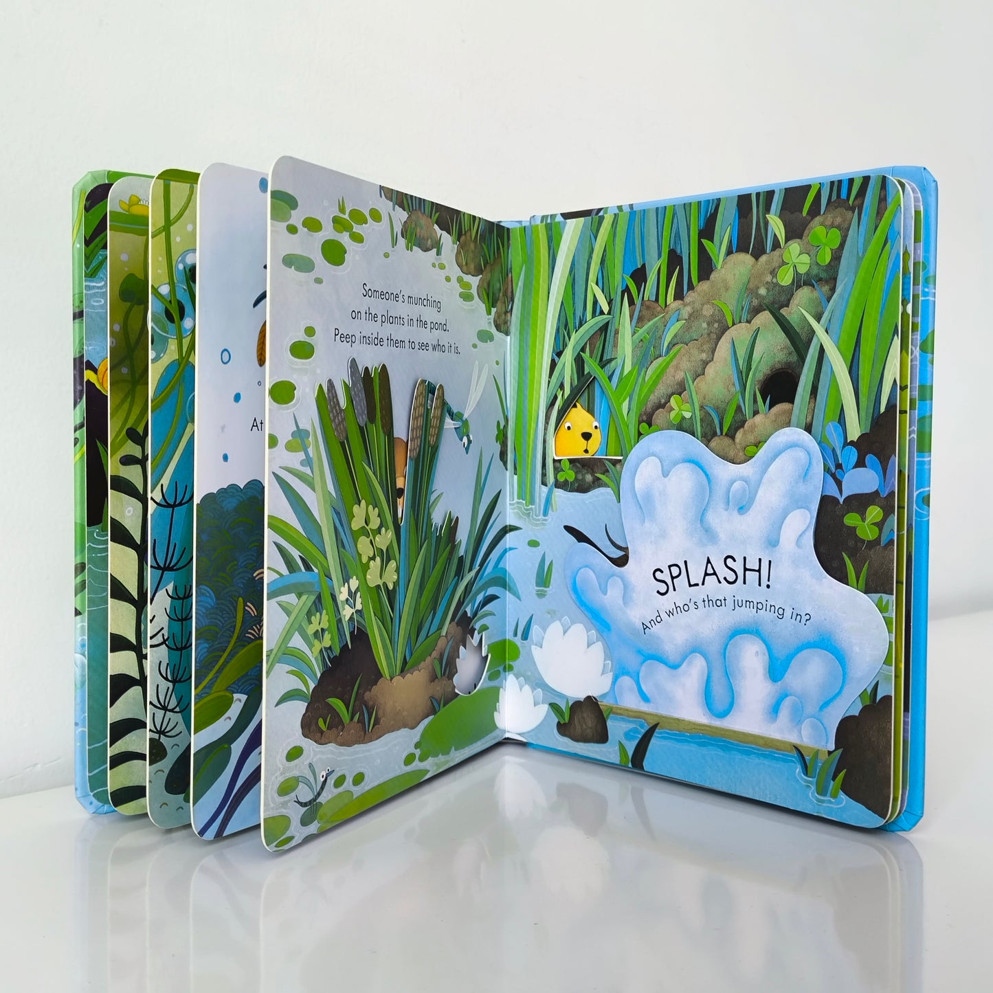 Usborne Peep Inside The Pond