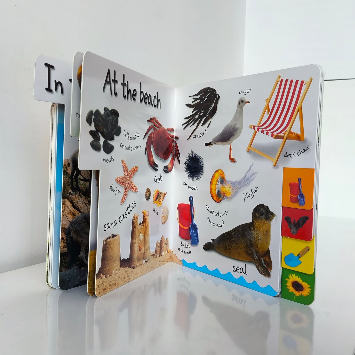 Dk My First Words Nature