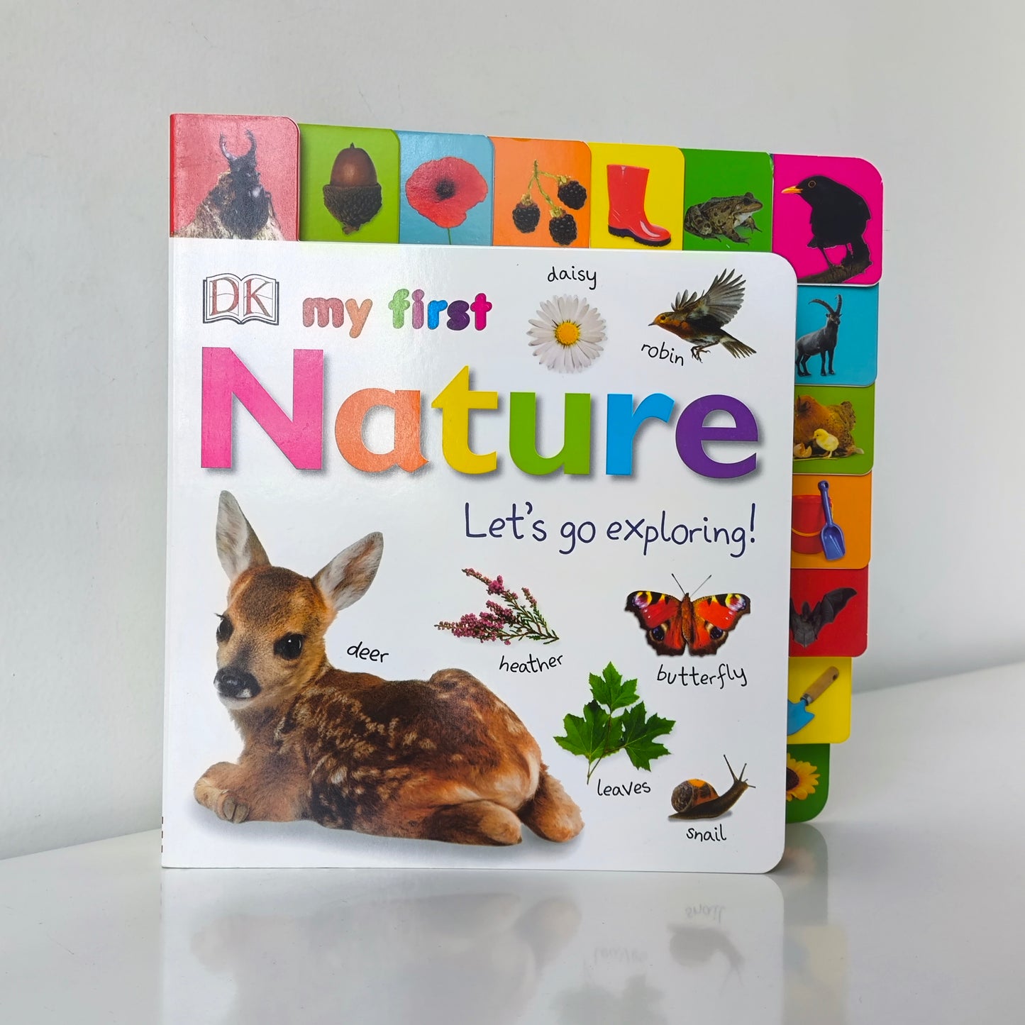 Dk My First Words Nature