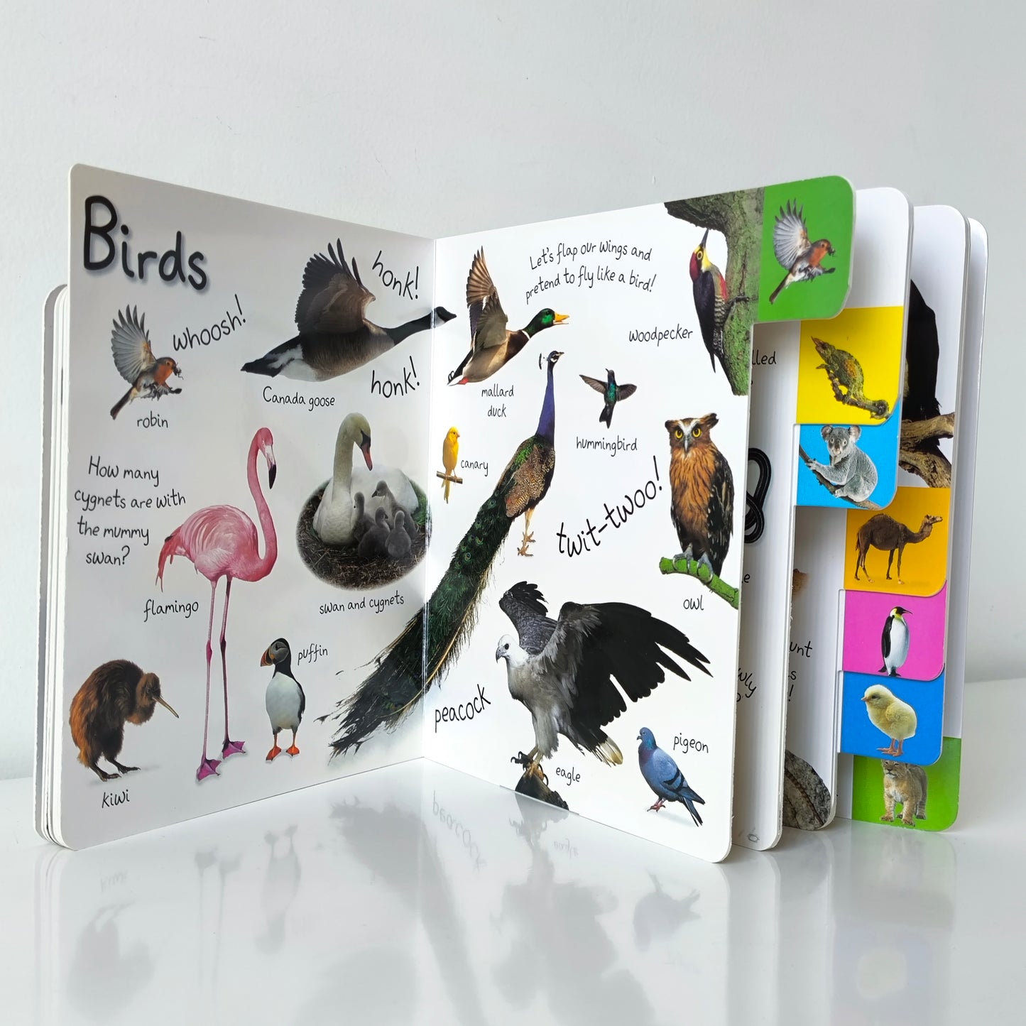 Dk My First Words Animals