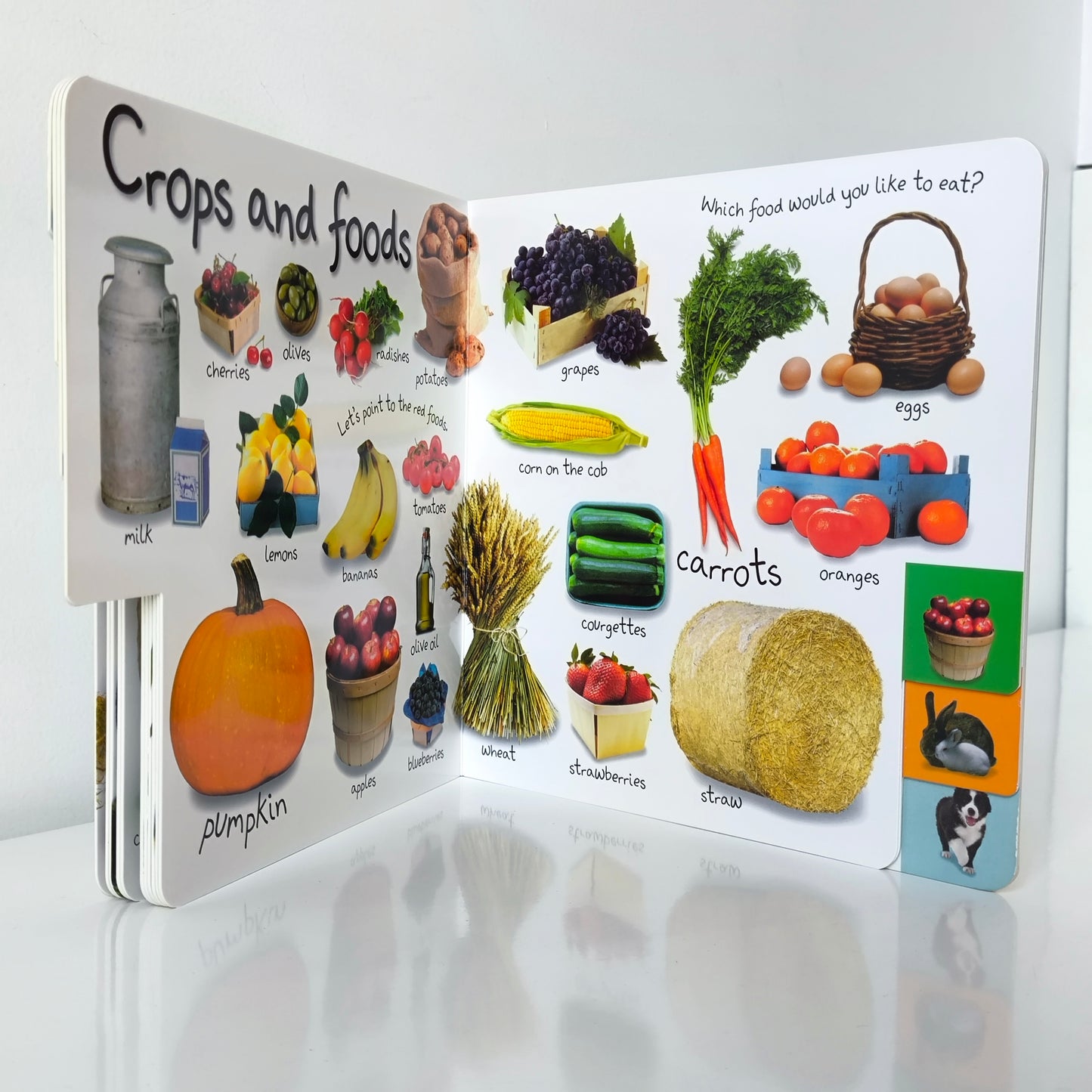 DK Children's Book - My First Farm Let's Get Working