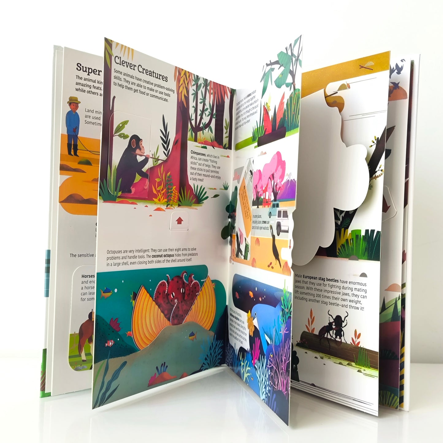 Ultimate Spotlight Extraordinary Animals