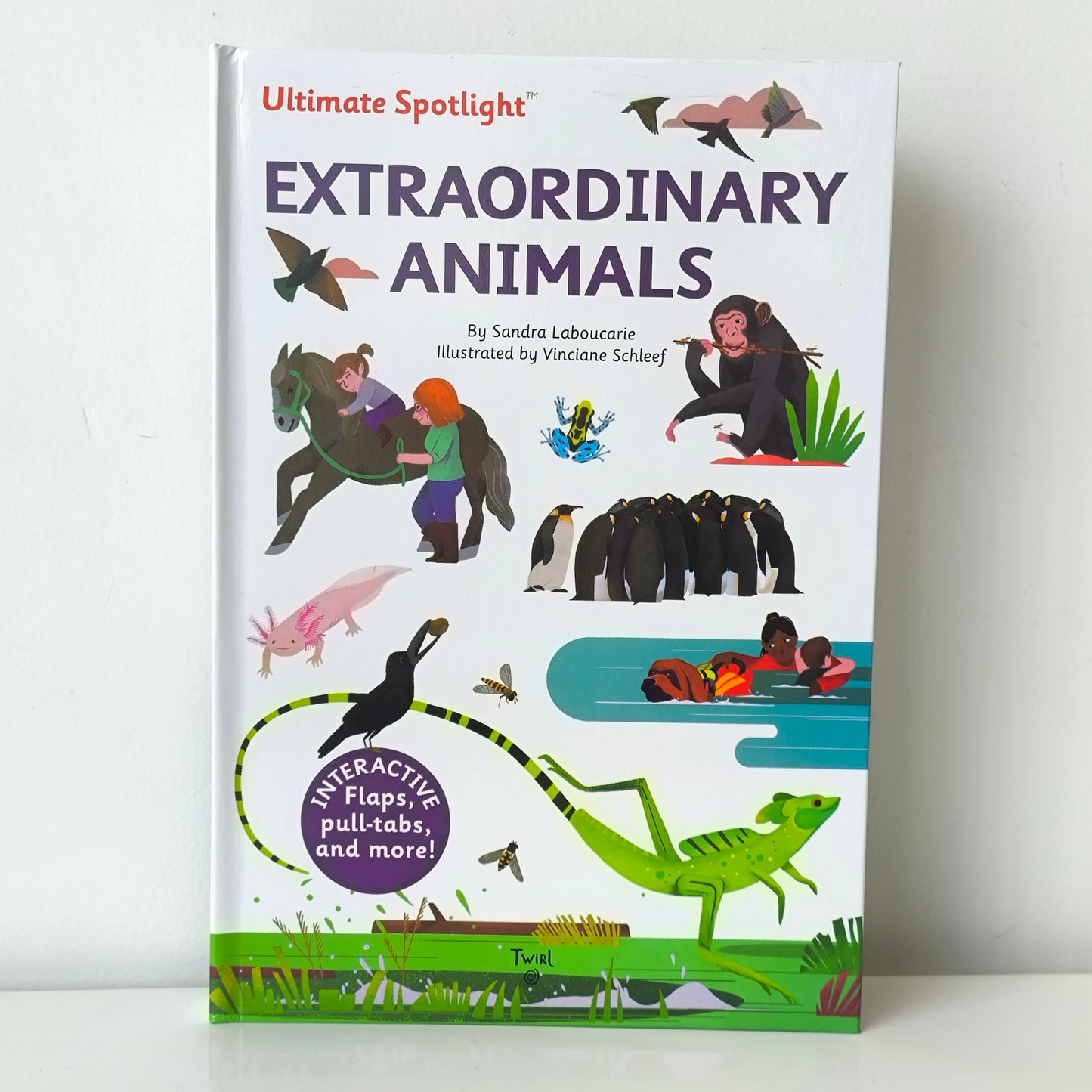 Ultimate Spotlight Extraordinary Animals