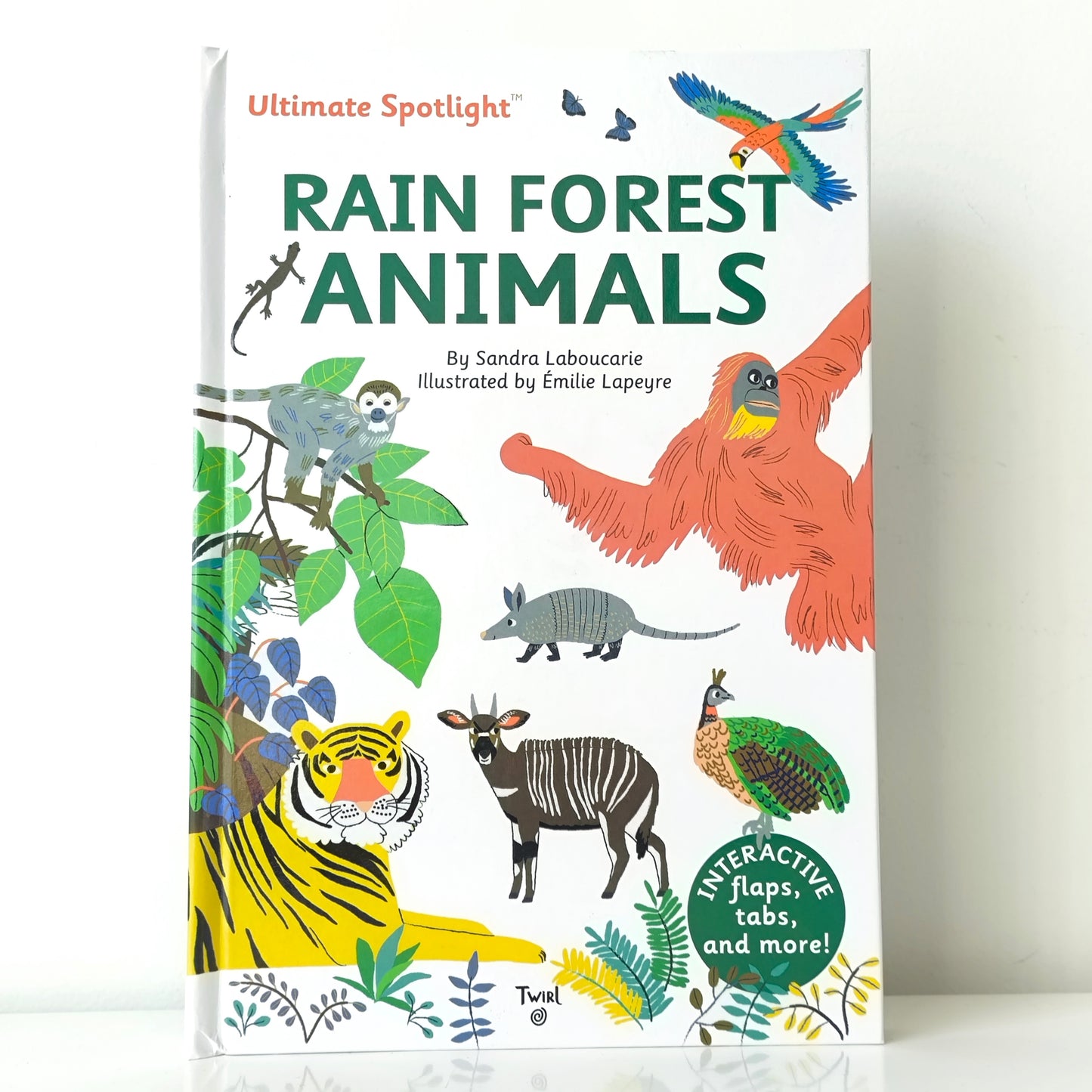 Ultimate Spotlight Rain Forest Animals