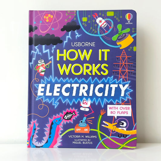 Usborne How It Works Electricity