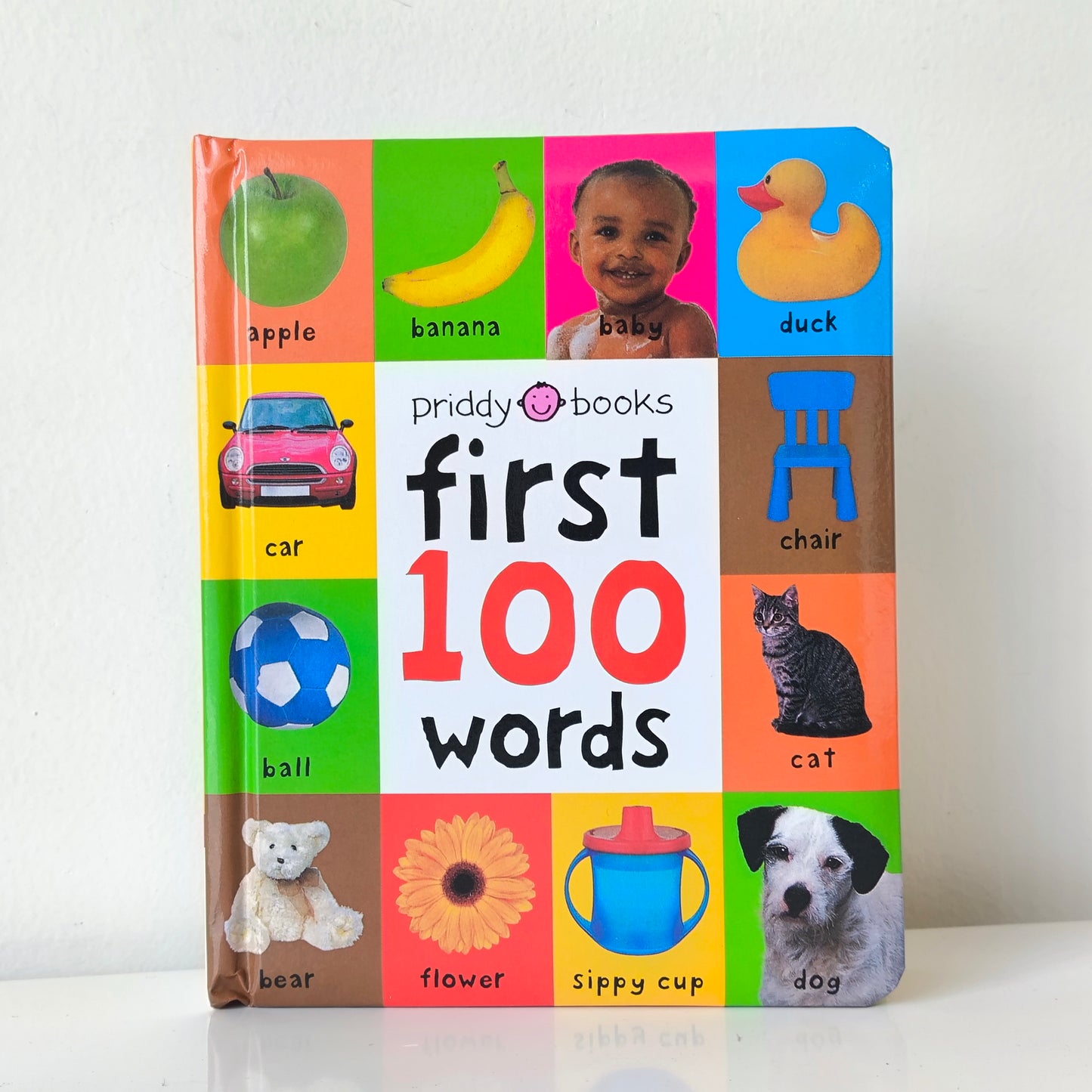 Priddy Books First 100 Words