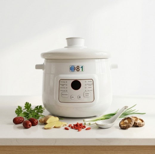 Microcomputer Electric Stew Pot 2L & 3L