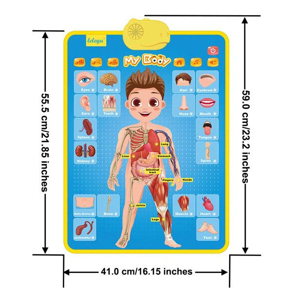 AG03 Talking Poster My Body