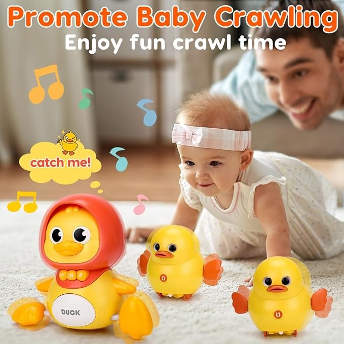 BibiElf Muscial Duck's Family Toy