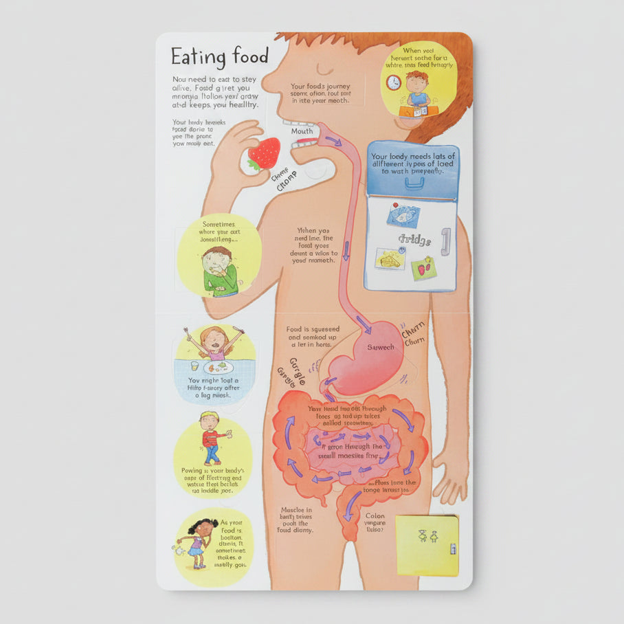 Usborne Look Inside Your Body Book