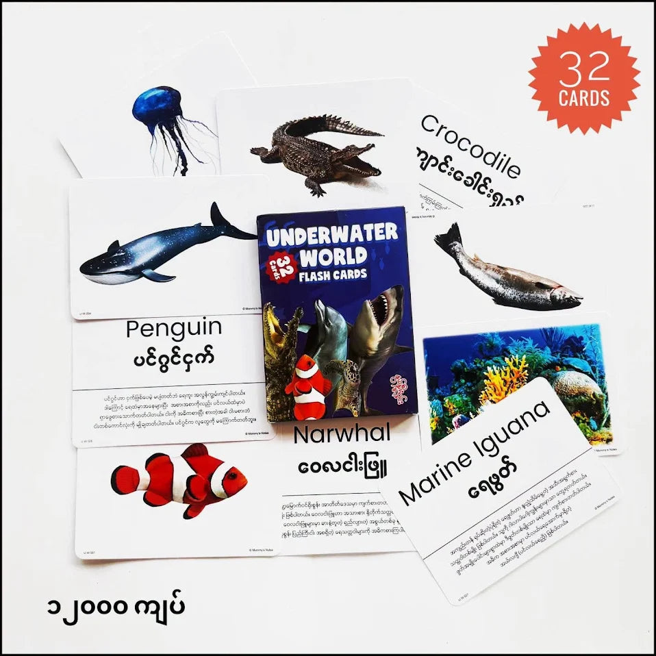 Nwe Ni Kan Win Underwater World 32 Cards