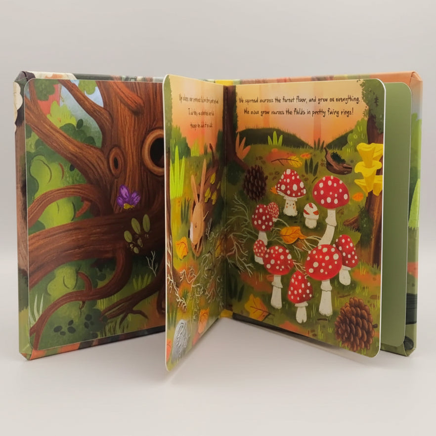 Little Mushroom Book