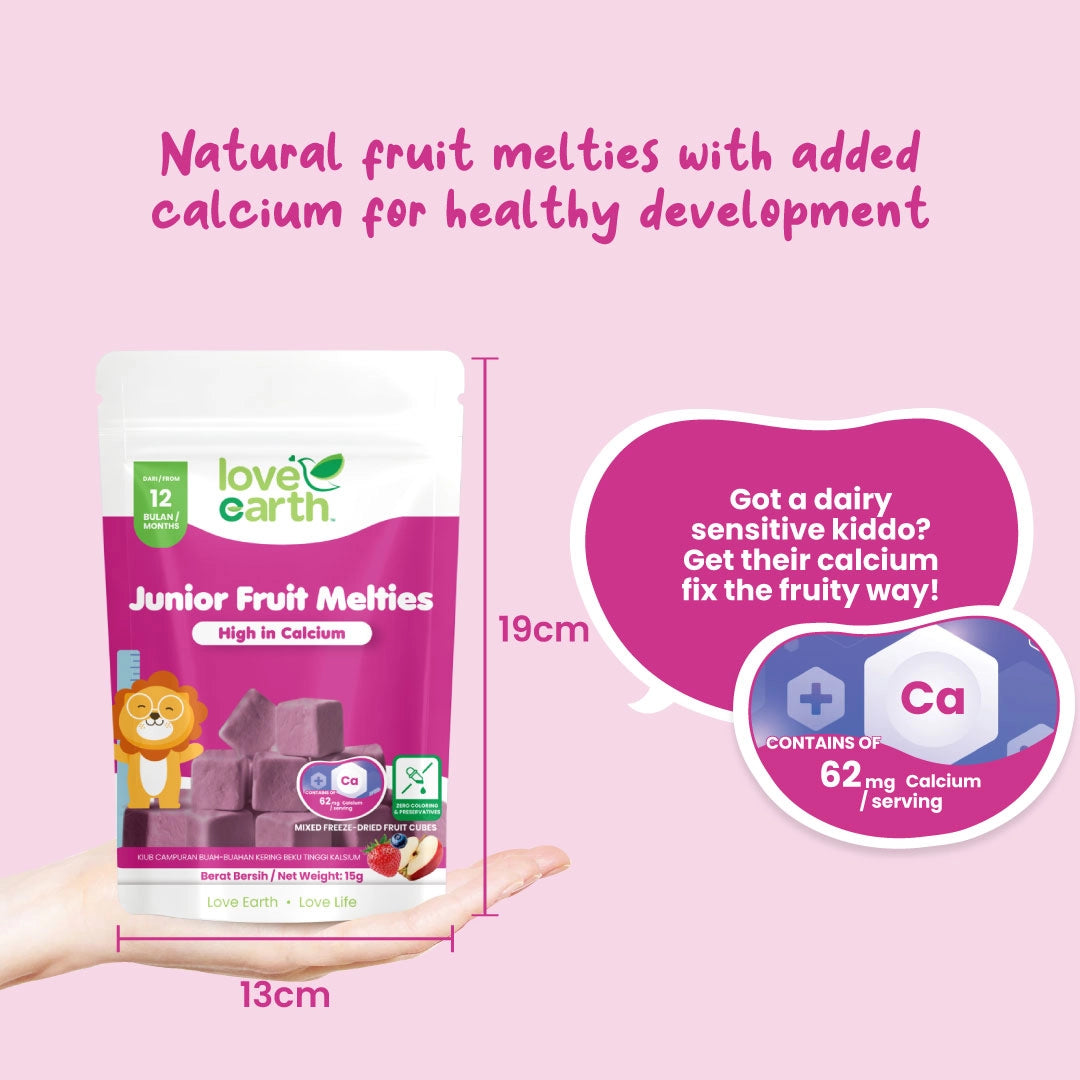 Love Earth Junior Fruit Melties 15g