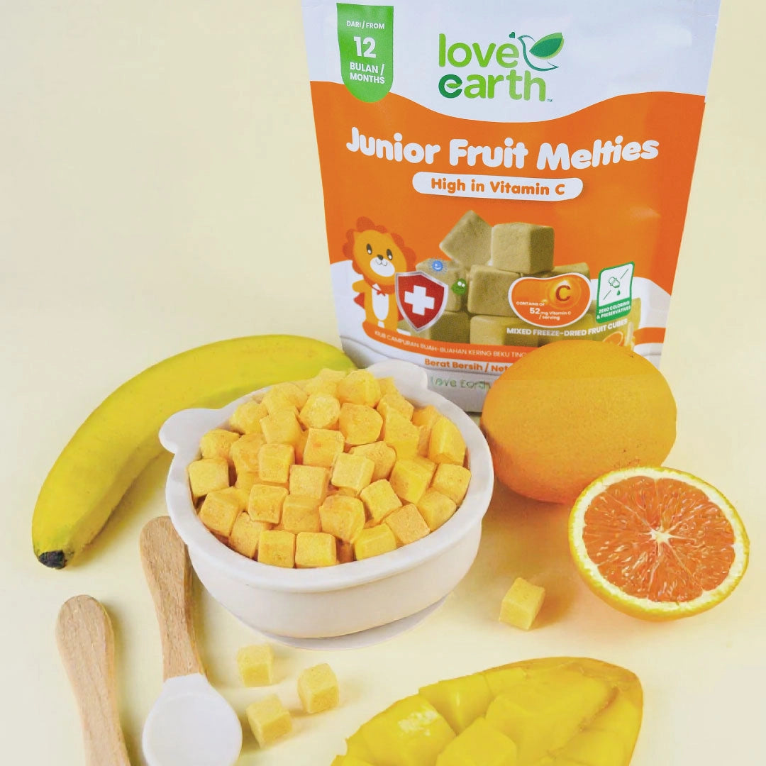 Love Earth Junior Fruit Melties 15g