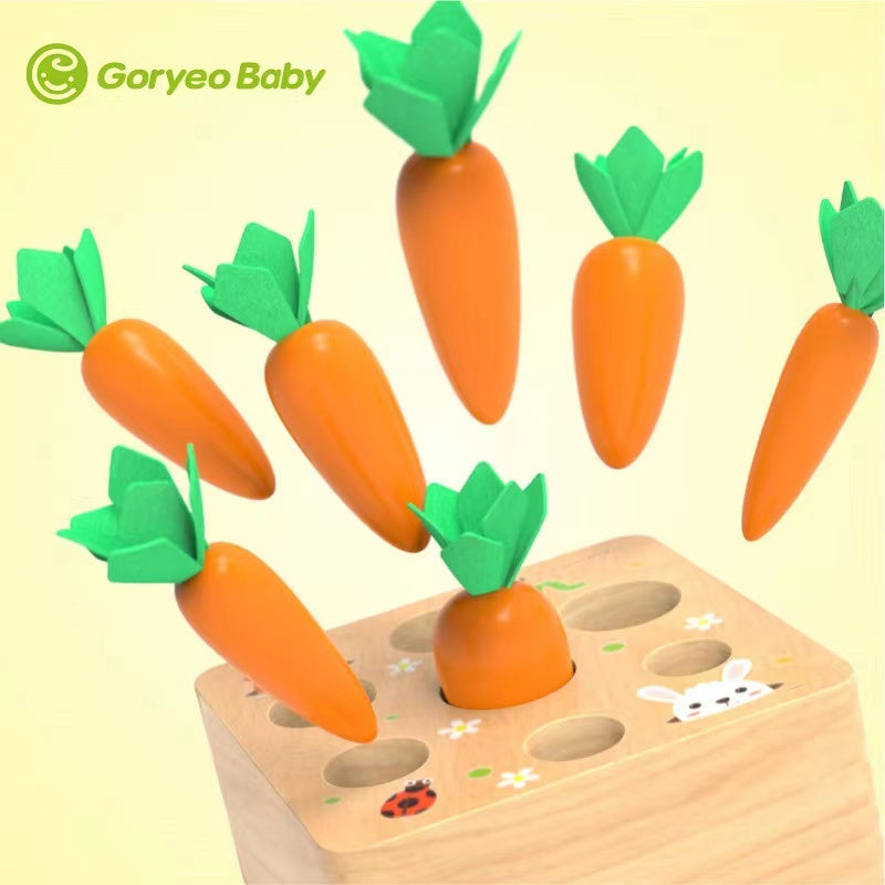 Different Size Carrots Wooden Harvesting Toy